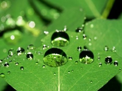 Παγκόσμια Ημέρα Βιοποικιλότητας